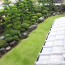 帰省してました