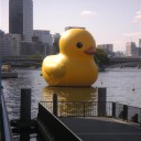 今年もやって来ます！