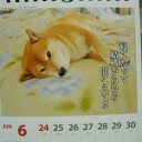 秋の風物詩というか・・