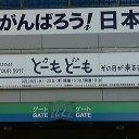 東京DOME