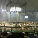 東京DOME