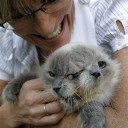 顔が2つある猫、12歳になってもまだ生き続けギネス世界記録達成