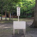 どんぐり箱