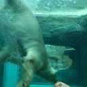 日本平動物園