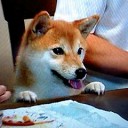 こんな可愛い子は、