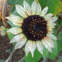 2011年10月4日（火）