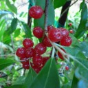 2011年10月4日（火）