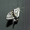オカアサンは感じやすいの（照　“この恨みはいつまでも”　の巻