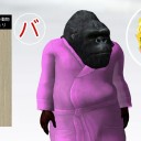 ゴリラ好きに悪人はいない
