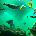 葛西臨海公園の水族館