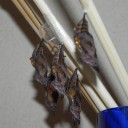 崖っぷちより愛をこめて…そして　“千尋の谷へようこそ☆”　の巻
