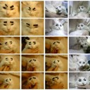 10月16日の日記