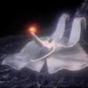 生きやすい世の中ってなんだろう