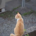 水曜〓自転車と夕焼けと〓