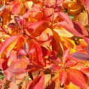 2011年10月19日（水）