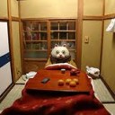 かせいふのみた・・・・って・・・・
