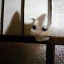 ねこむらさん・・・・
