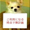 10月21日の日記