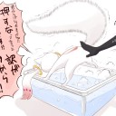 スタンダードのデッキが作れない