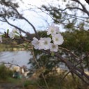 10月23日の日記