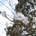 10月23日の日記