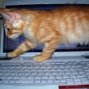 【MTG】Magic Onlineのクランで調整