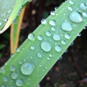 2011年10月26日（水）
