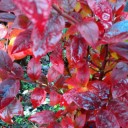 2011年10月26日（水）