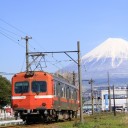 赤ガエル