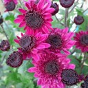 2011年10月28日（金）