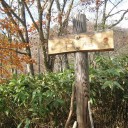 滝を探して山奥へ