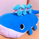 ぬいぐるみは買わないよ、買わないからね