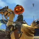 【FF14】 馬鳥の乗り心地