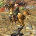 【FF14】 馬鳥の乗り心地