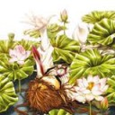 ひかりのほうへ・・・