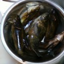「ギンポ」って食べたことある？