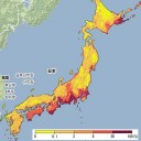 気になるニュース