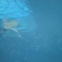 痺れるような