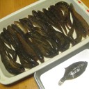 お出かけレポート　その２　釣果を食べる！
