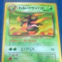 ポケカ15th記念～はじめてのシングル買い