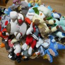 デッキケースの持ち手を邪魔する仲間達（その８）／ＭＹポケモンコレクション第１０弾