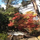香雪園で紅葉狩り
