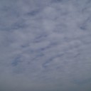 願いもむなしく