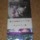 【2011/11/13(日)】 23th金ギャラドス杯