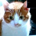連続テレビ小説「カーネーション」