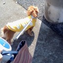 日光浴ウォーキング。