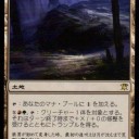 【日の本】世界選手権【万歳！】