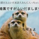 11月22日の日記