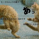 11月22日の日記