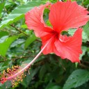 Hawaii 3日目